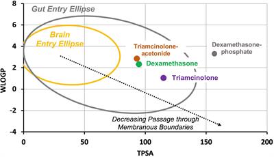 Comparison of the Pharmacokinetic Properties of Triamcinolone and Dexamethasone for Local Therapy of the Inner Ear